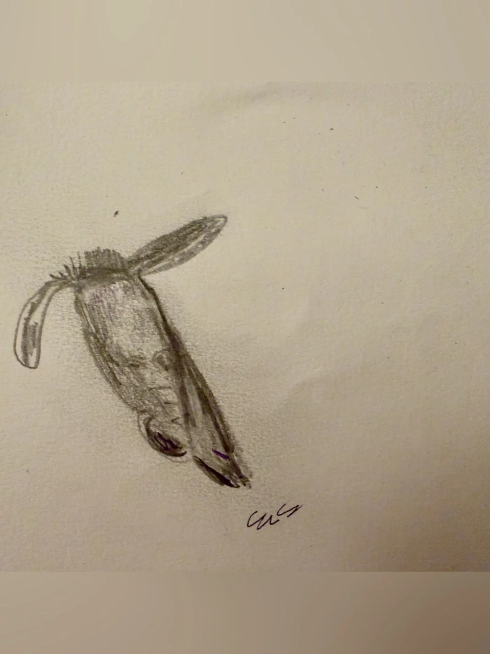 Little sketch of horrors collection